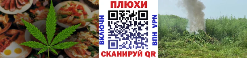 цены наркотик  Новосокольники  Cannafood марихуана 